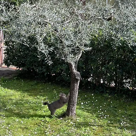 Holiday home Maria Luisa's House La Spezia